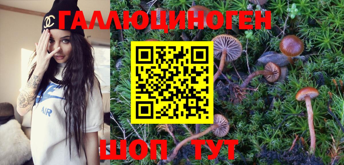 Галлюциногенные грибы ЛСД  Вход с VPN  Вязьма  Псилоцибиновые грибы MAGIC MUSHROOMS 