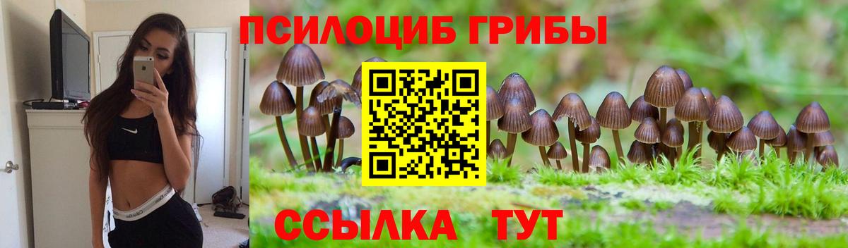 Псилоцибиновые грибы мицелий Вязьма
